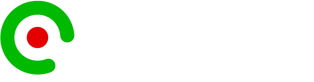 RAIDERS VIGILANZA