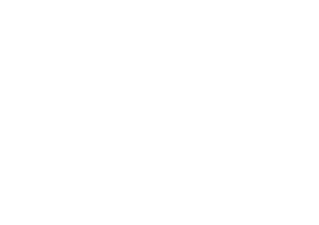 VENICECOM